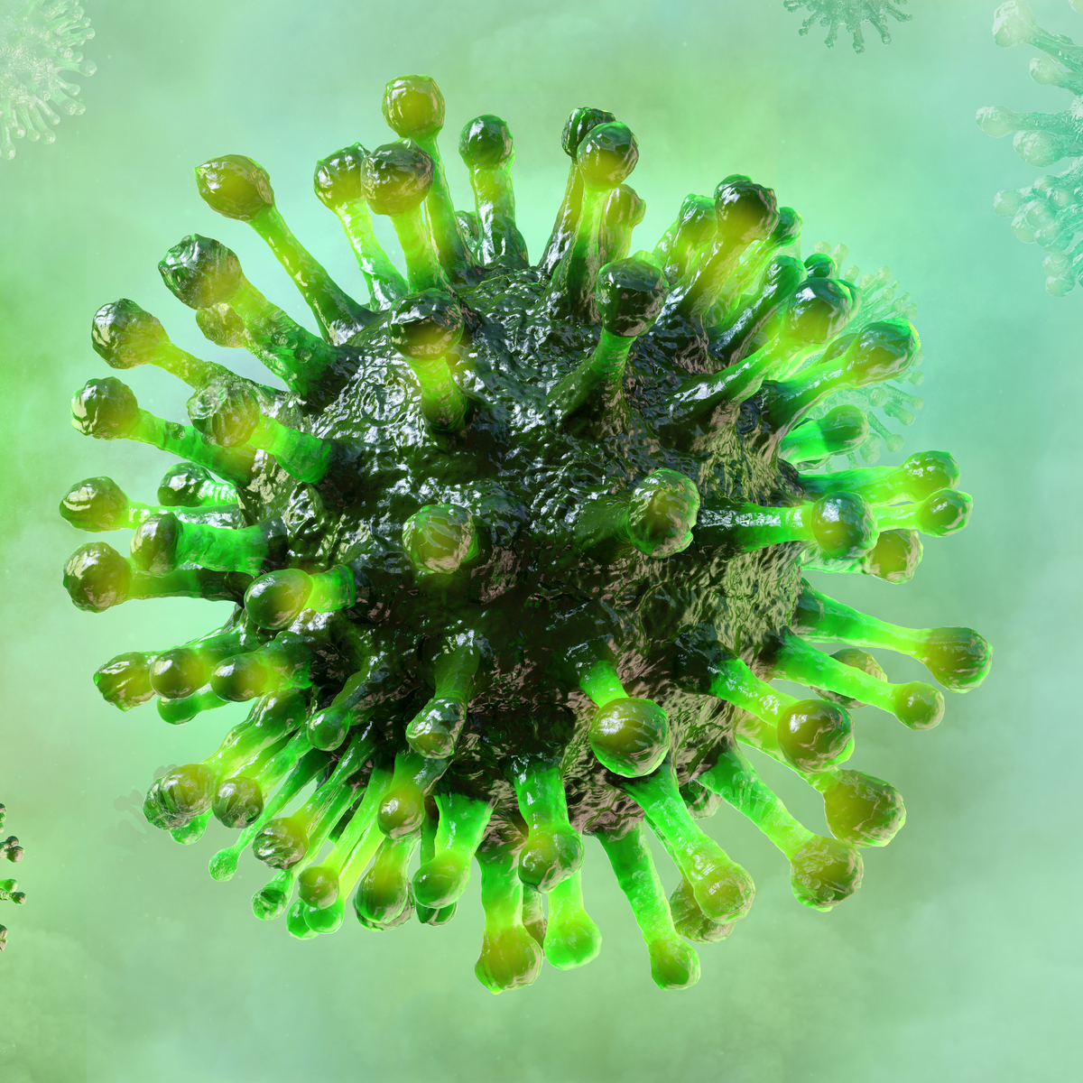 shutterstock_1626897328 (1).jpg